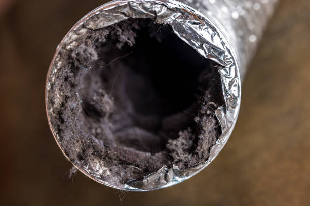Best Professional Duct Cleaning Services  in Bel Air South, MD